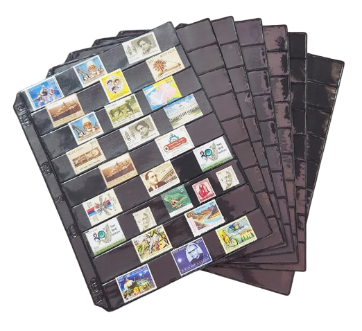 image-removebg-preview (35)