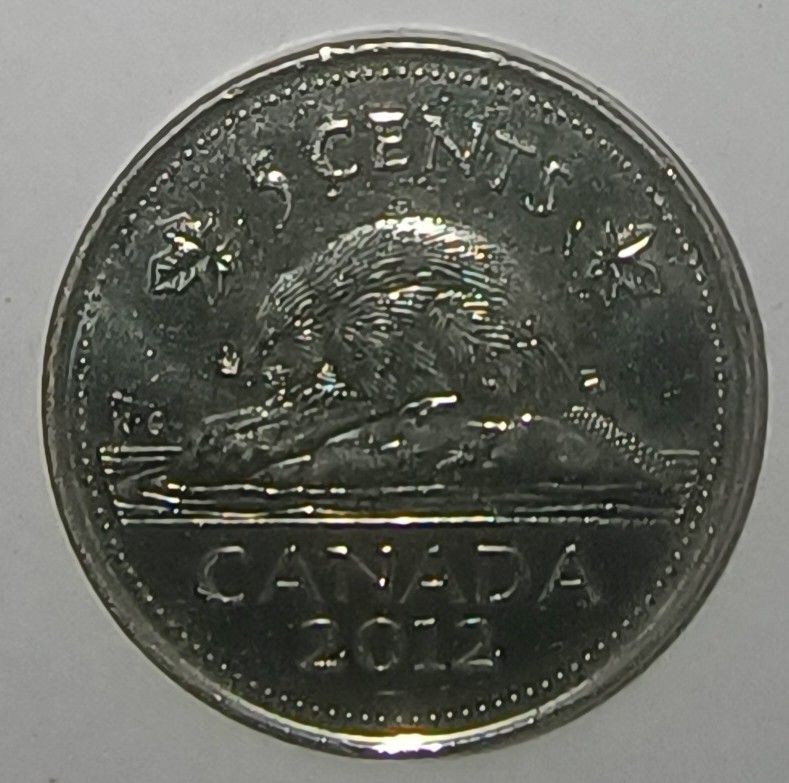 1000381362